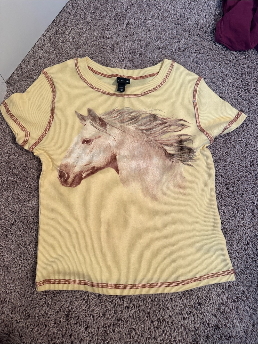 Horse t shirt size 10/12 never worn art class